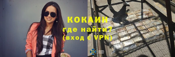 PSILOCYBIN Кулебаки