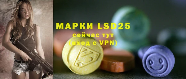 PSILOCYBIN Кулебаки