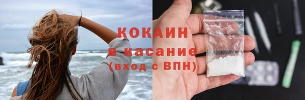 PSILOCYBIN Кулебаки