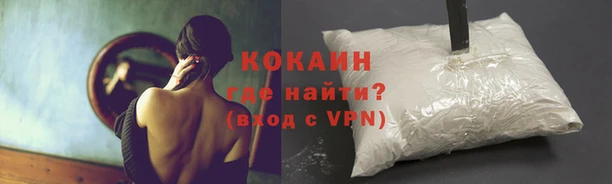 СК Куйбышев
