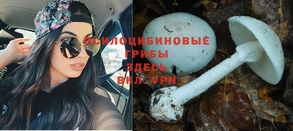 героин Лагань