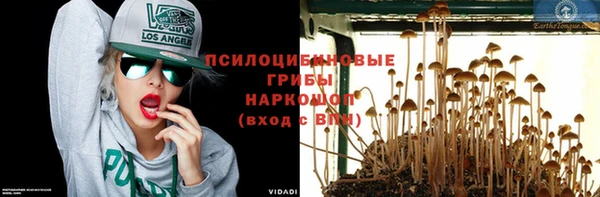 СК Куйбышев